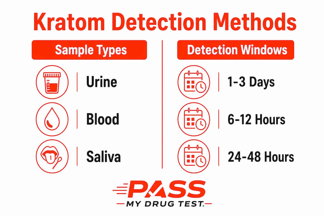 Infographic comparing kratom sample types and detection windows