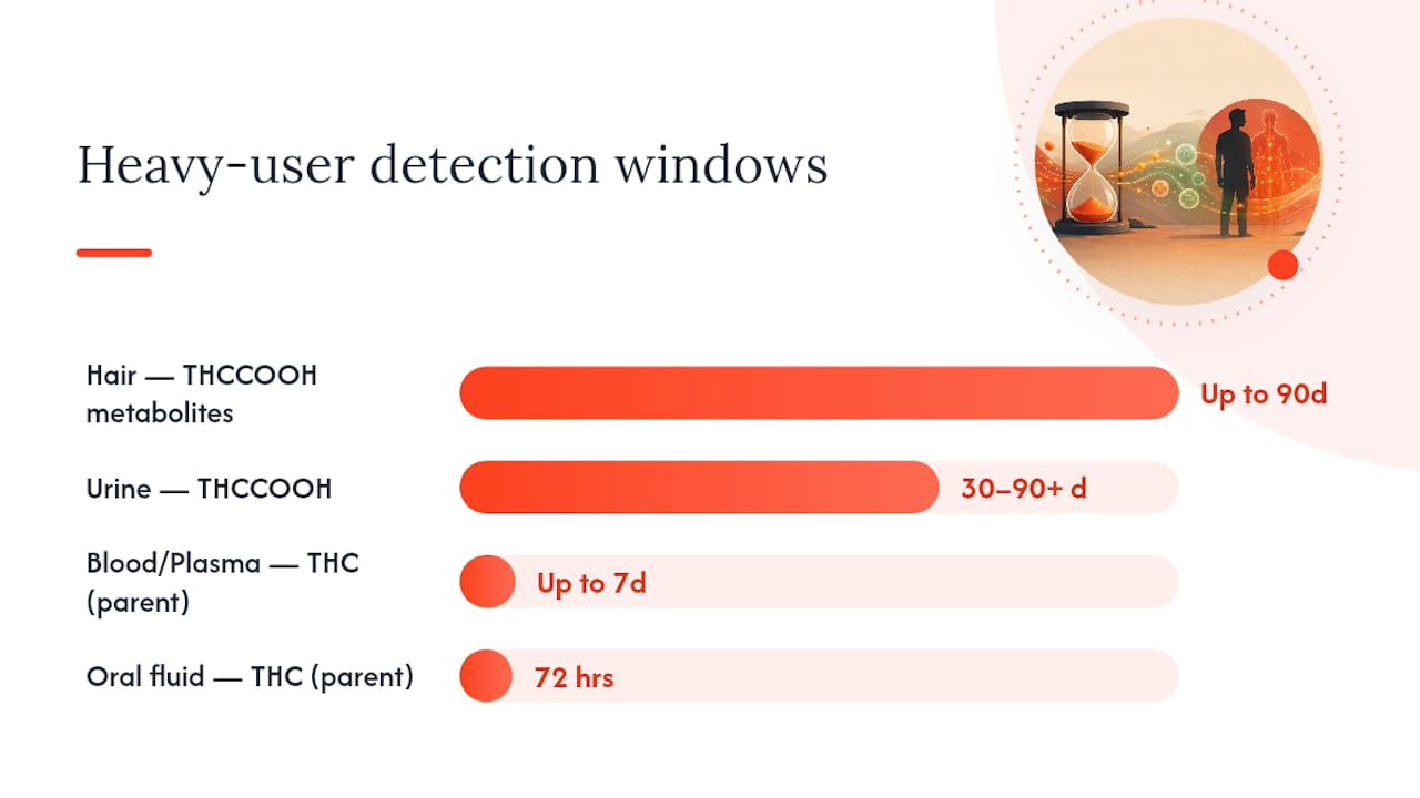 Diagram comparing THC detection windows by test type