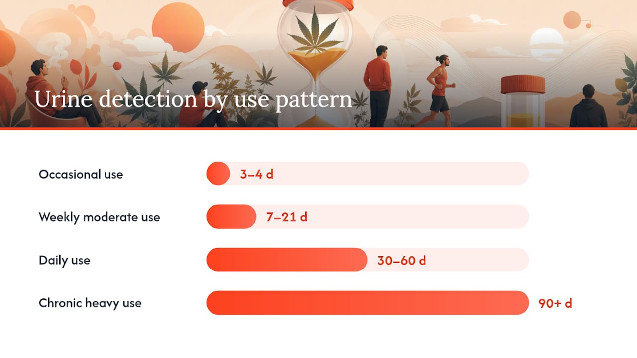 Practical timelines: what to expect based on your use pattern — overview diagram