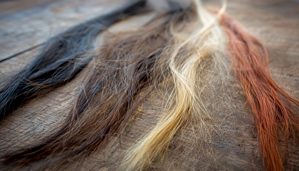 Close-up of natural hair color diversity