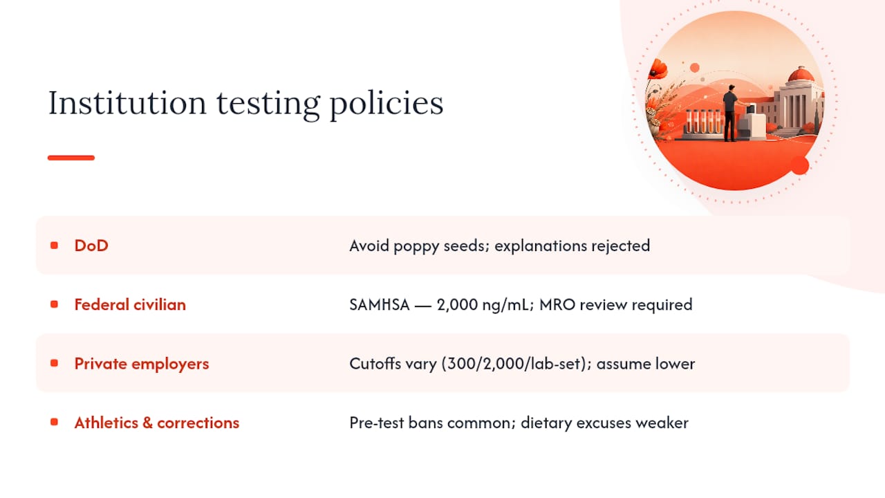 Employer and military rules: how institutions handle poppy-seed positives — overview diagram