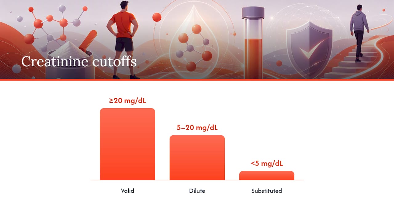 How Labs Read Your Creatinine Number — overview diagram