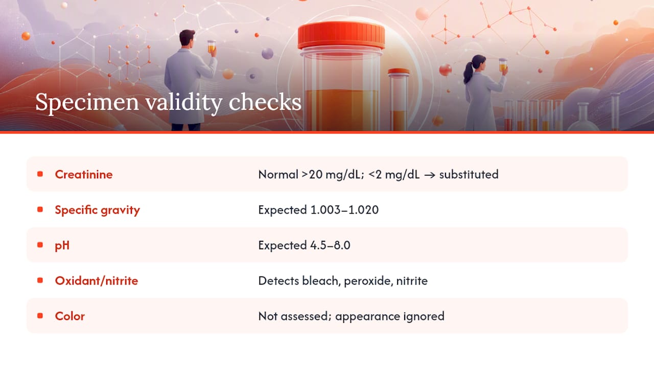 Diagram of urine specimen validity checks