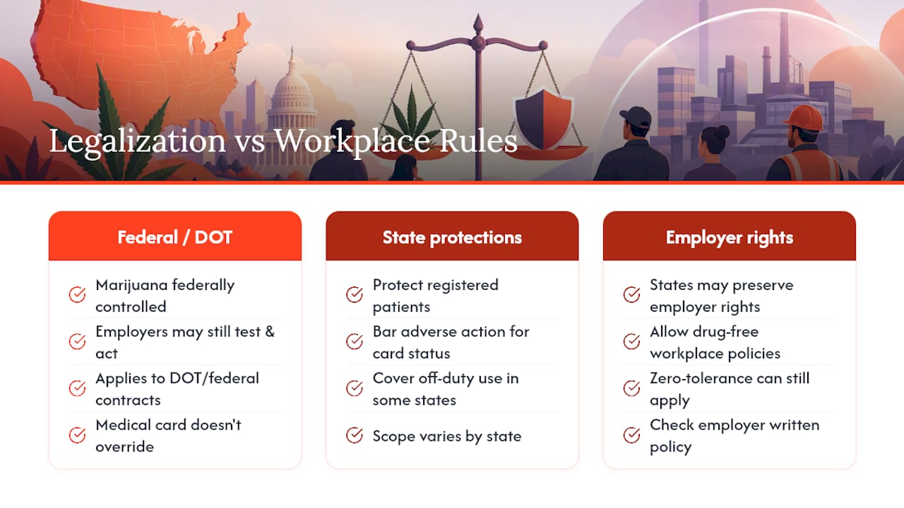 How Does Medical Marijuana Legalization Affect Workplace Testing? — overview diagram
