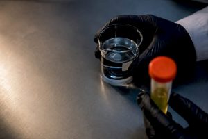 Toxicology lab comparing prepared solution and specimen