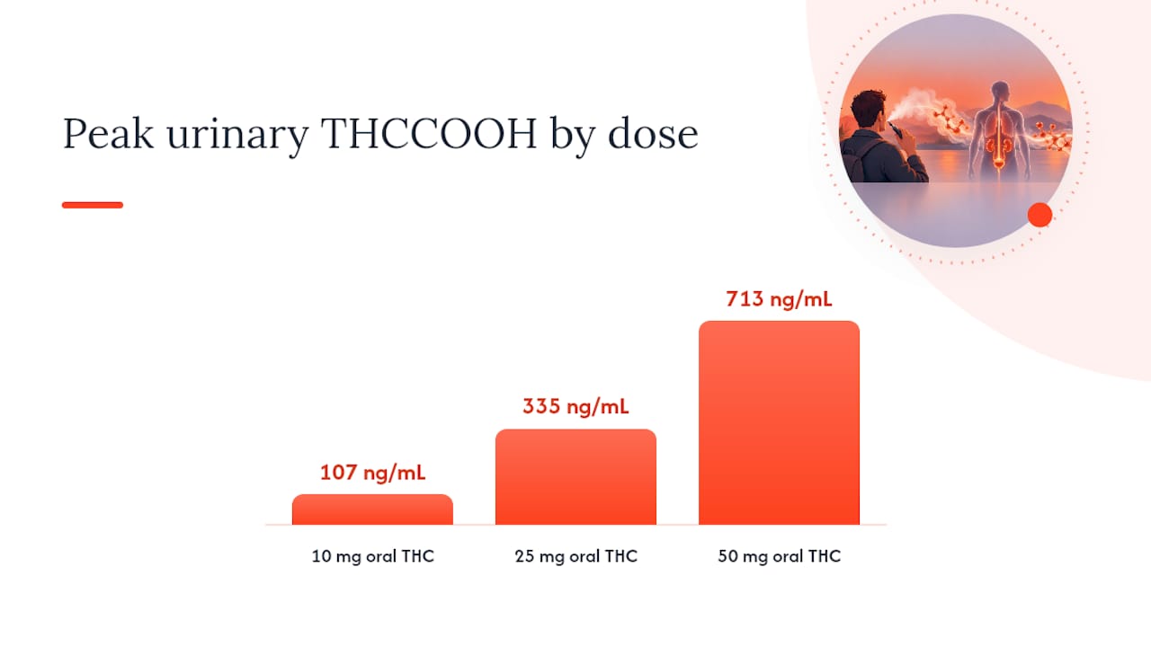 How Long Does THCA Stay Detectable? Windows by Specimen Type — overview diagram