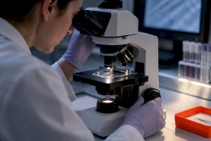 Hair strands examined in forensic laboratory