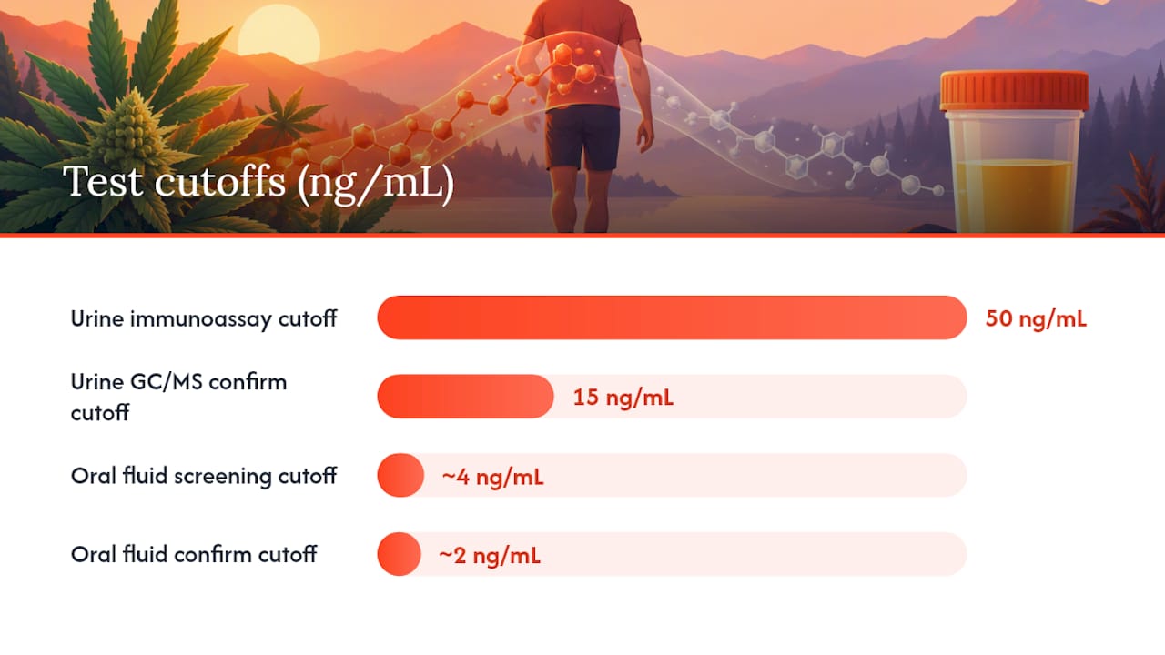Urine THC screening and confirmation cutoffs