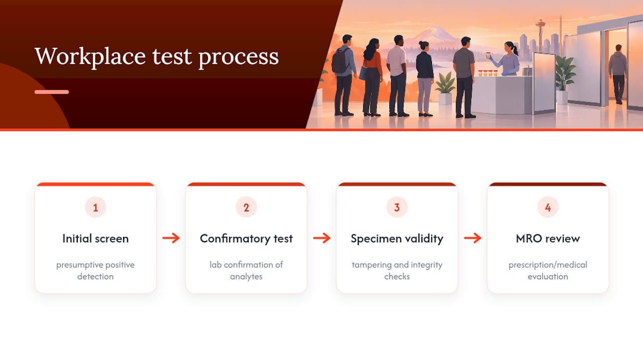 Workplace testing requirements you're likely to encounter — overview diagram