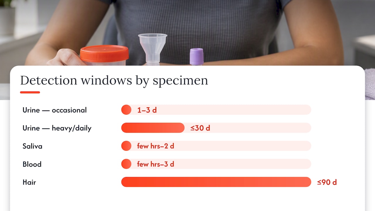 Detection windows by specimen: urine, saliva, blood, and hair — overview diagram