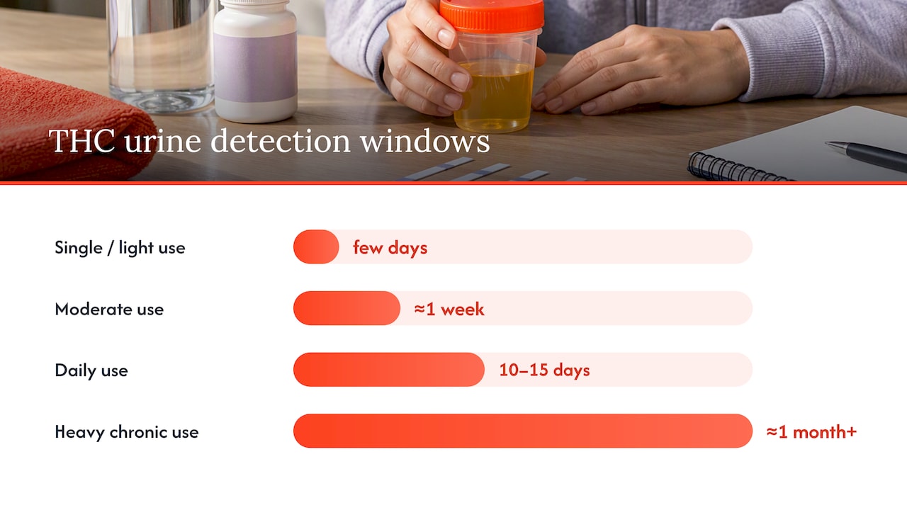 THC detection windows by use pattern