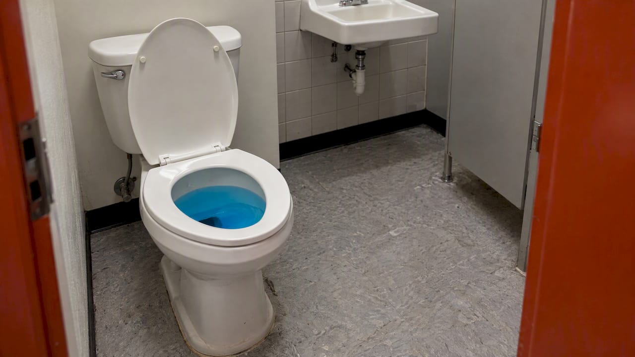 Blue treated water in a collection-site toilet
