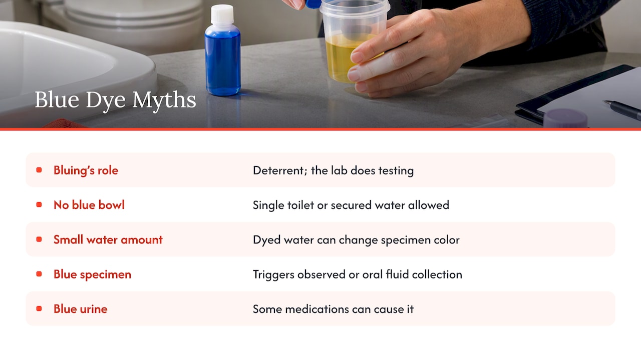 Common myths and misconceptions about blue dye and drug test cheating — overview diagram