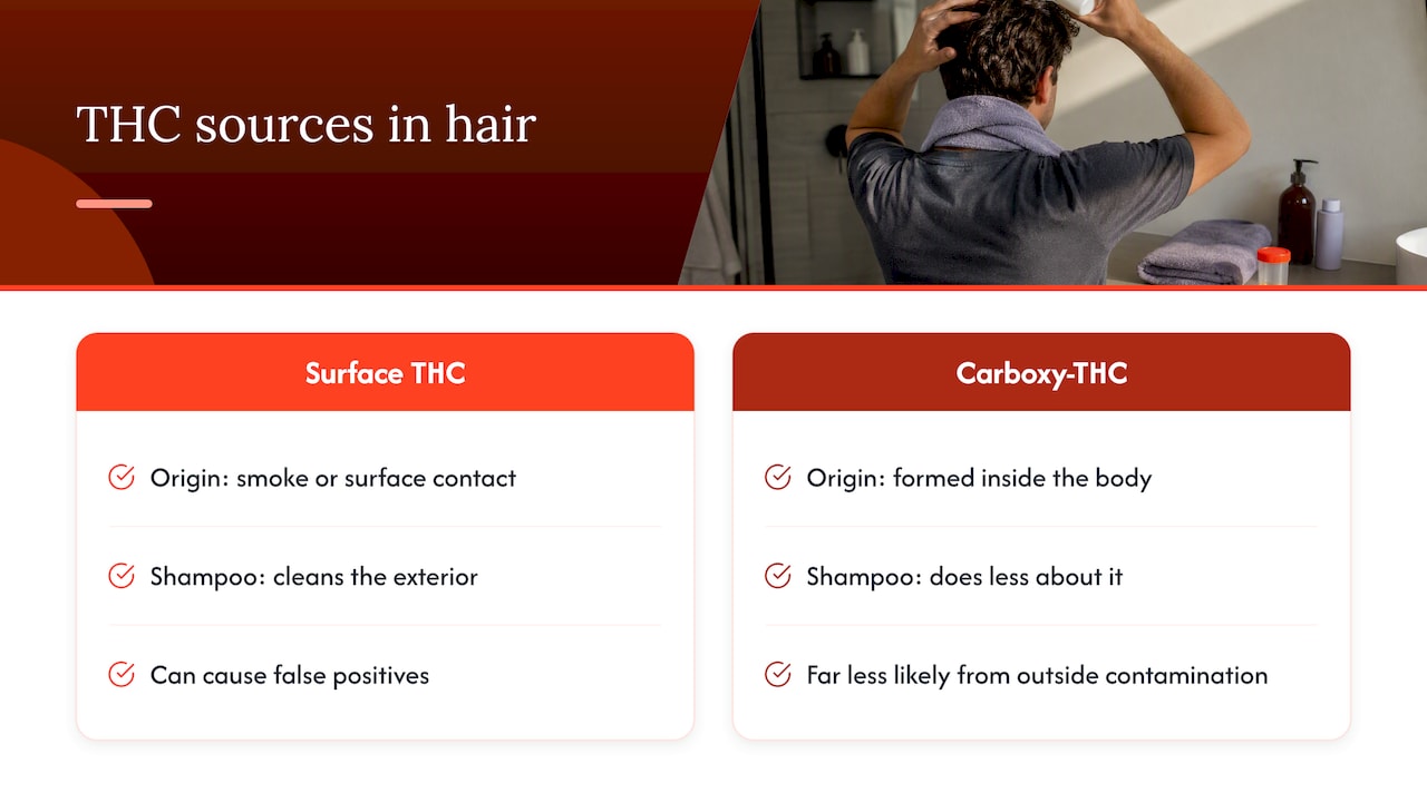 Why carboxy-THC changes the picture — overview diagram