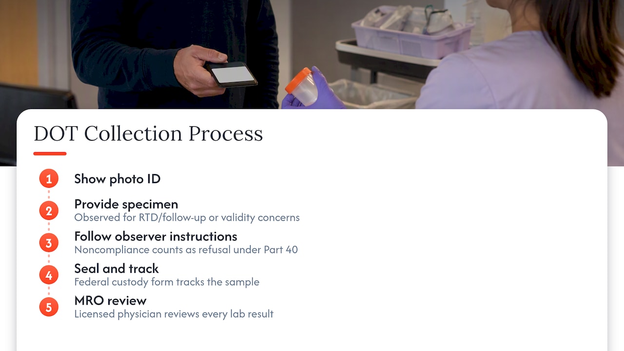 What happens at the collection site — overview diagram