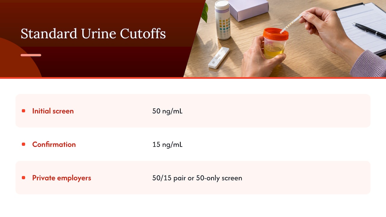 The standard urine cutoffs: 50 ng/mL, then 15 ng/mL — overview diagram